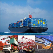 Entreprise de logistique / Maritime Cargo Shipping / Shipping Container / Shipping Agent / Shipping Company / Taxes de fret maritime de Chine à Tin Can, Apapa, Lagos, Onne Nigeria